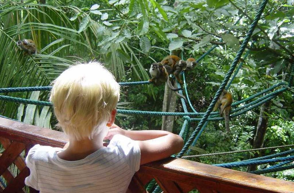 Jungle Villa Manuel Antonio Luaran gambar