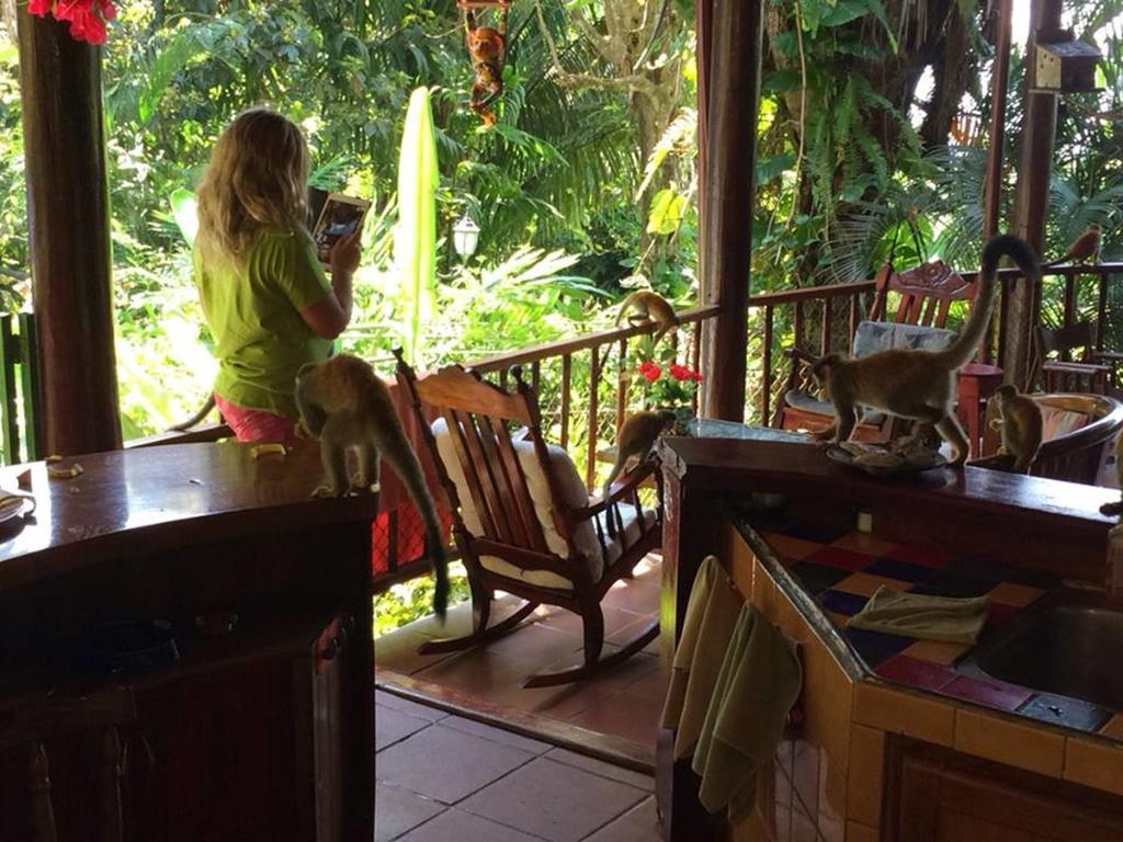 Jungle Villa Manuel Antonio Luaran gambar
