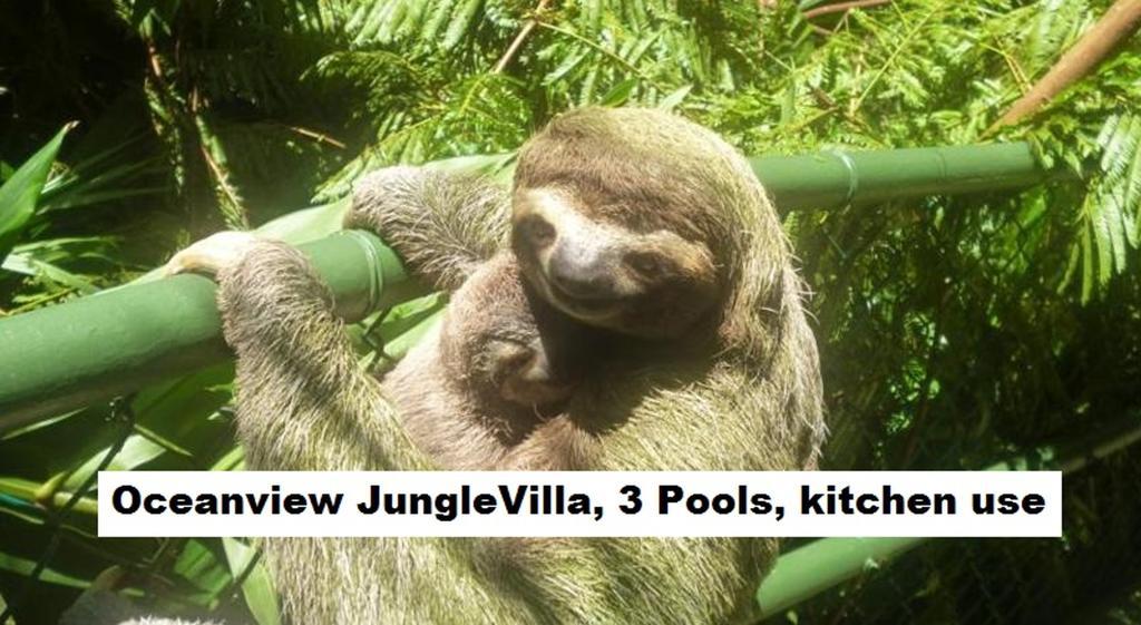 Jungle Villa Manuel Antonio Luaran gambar